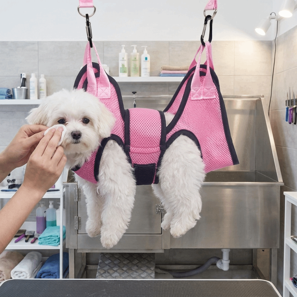 調節可能な犬用グルーミングハンモック、メッシュ製吊り下げ式猫 - Pet Grooming Hammock Sling Restraint のレビューと価格