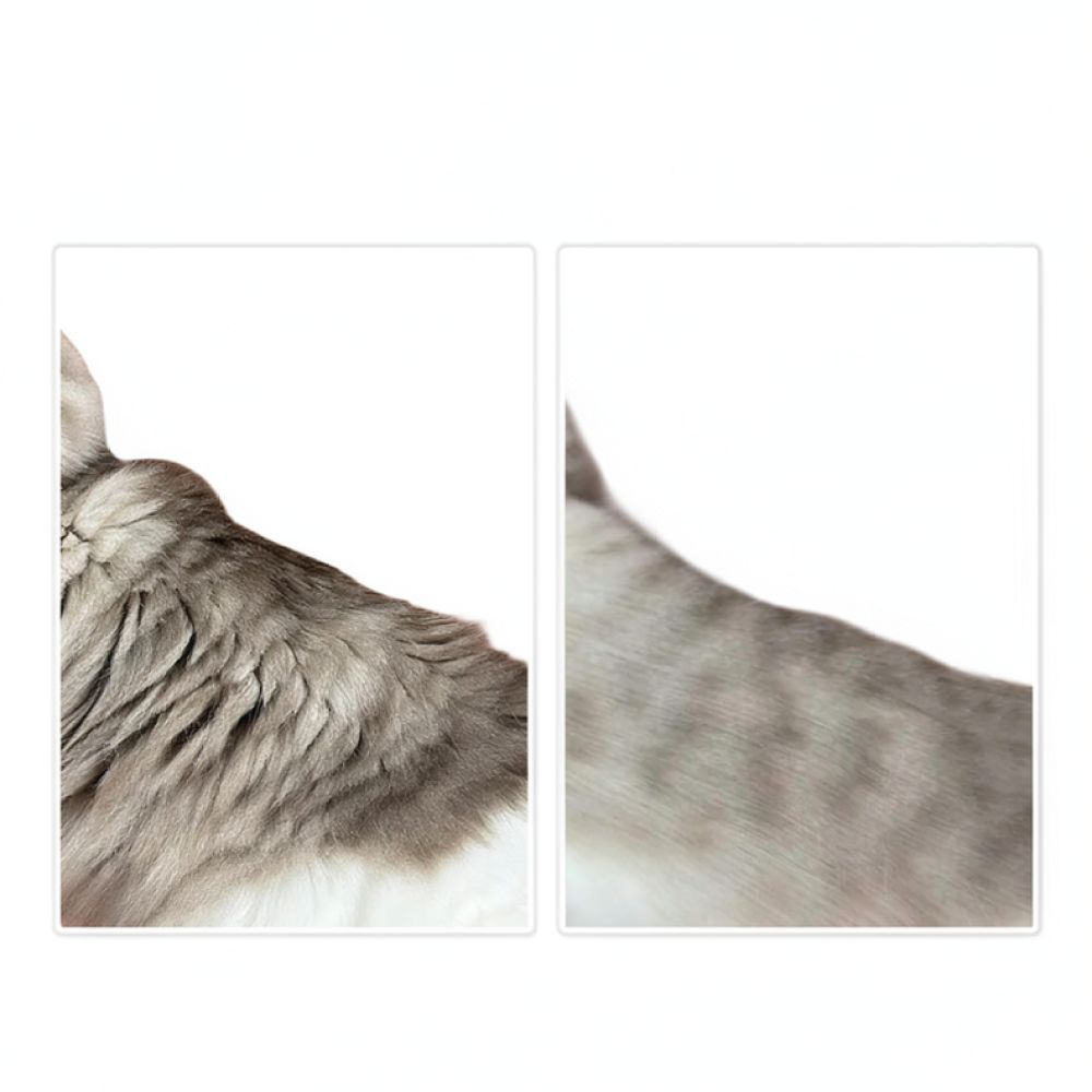 プロ仕様の犬用グルーミングブラシ。カーブした形状で、抜け毛や - Undercoat Rake Dematting Tool Dog Shedding のレビューと価格