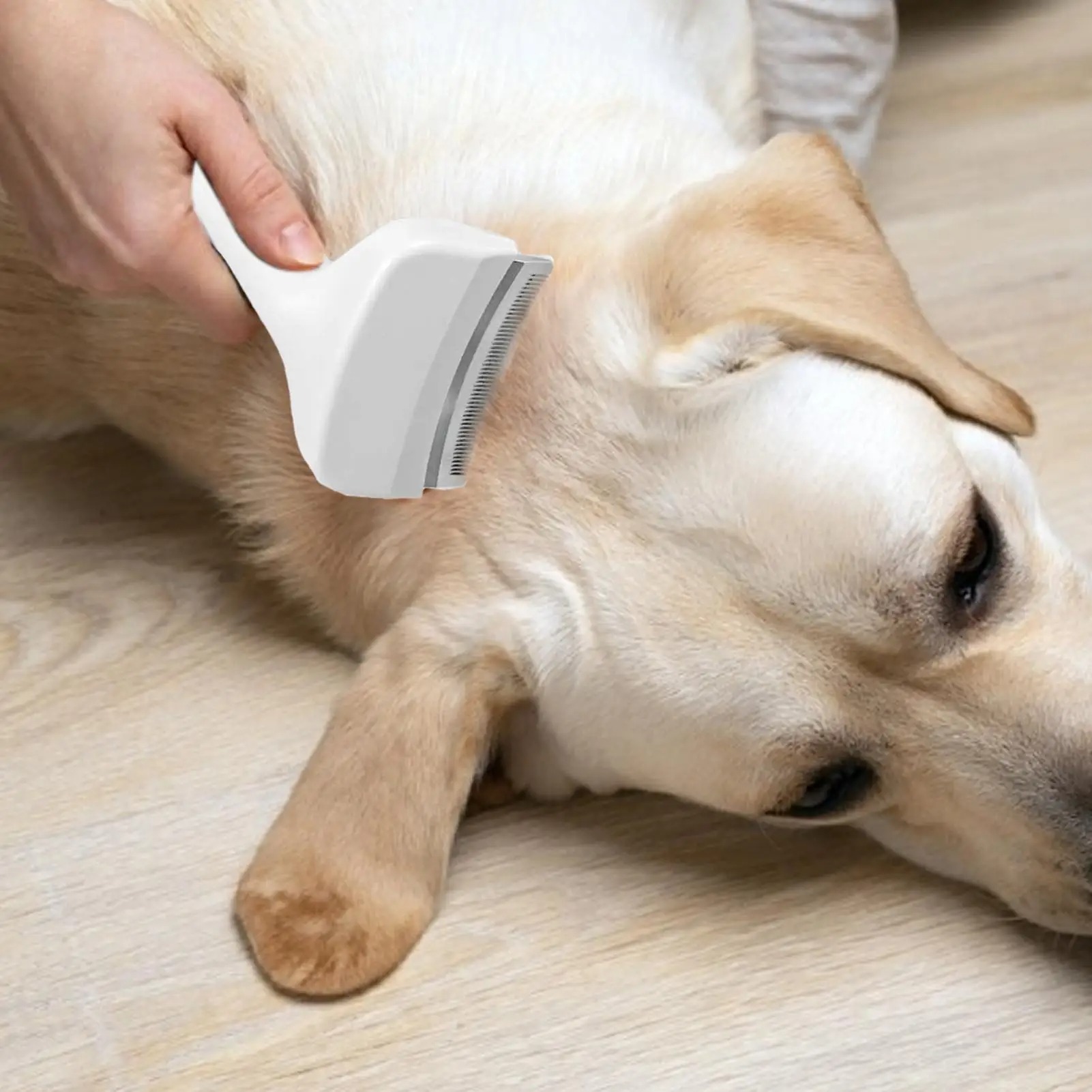 犬用スリッカーブラシ、アンダーコート除去ツール、犬猫子犬子猫 - Undercoat Rake Dematting Tool Dog Shedding のレビューと価格