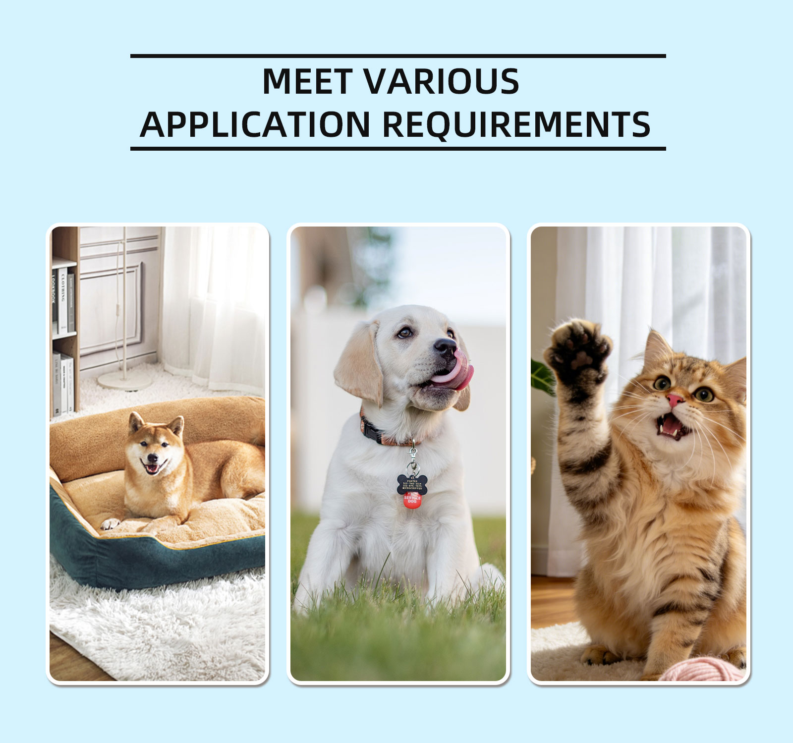 猫・犬用イヤークリーナー 120ml。ペットの耳を優しく洗浄 - Dog Ear Cleaner Solution Drops Wash のレビューと価格